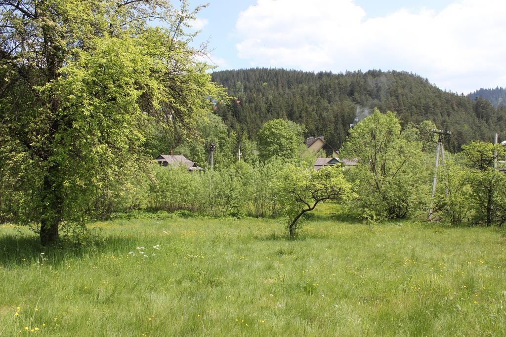 Krym Hotel Yaremche Eksteriør billede