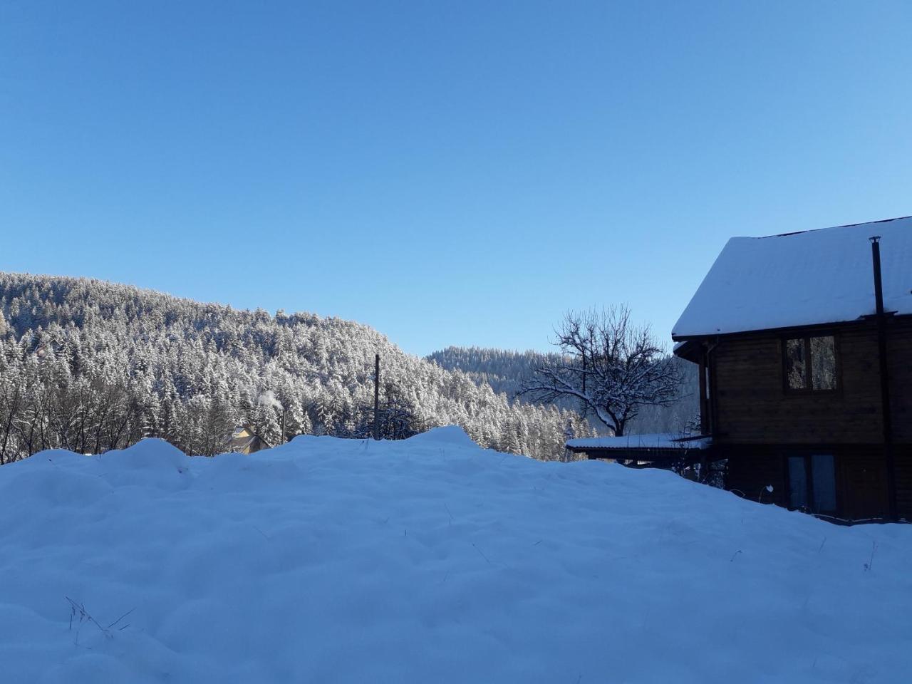 Krym Hotel Yaremche Eksteriør billede